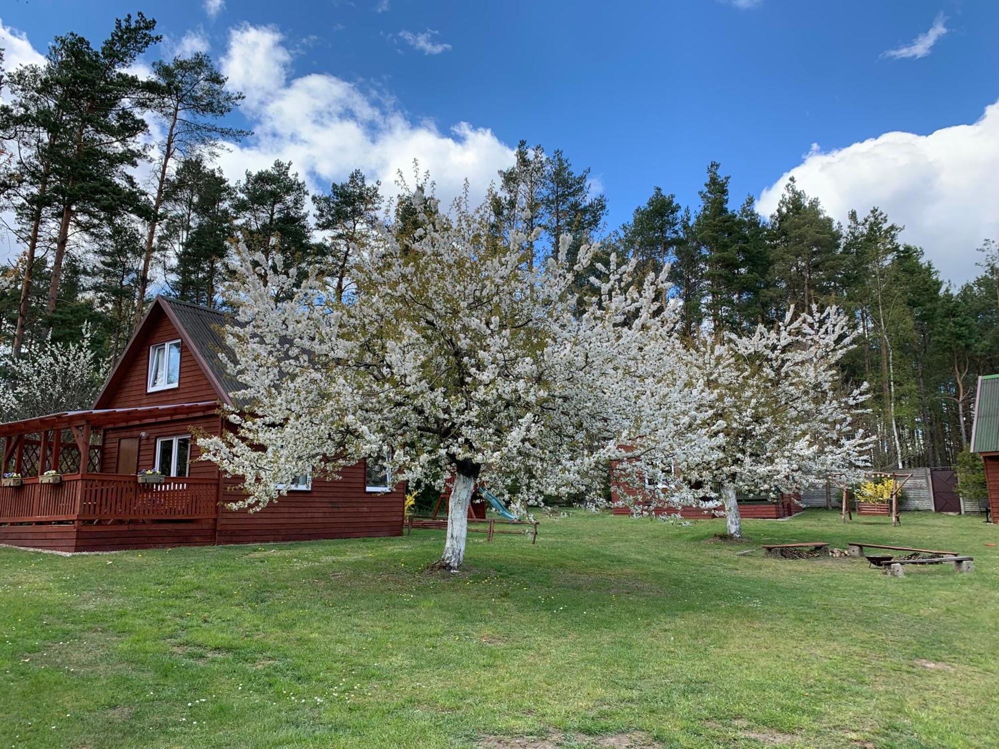 Gryfne Kaszuby Kamienica Krolewska Exterior foto